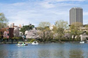 石神井公園の三宝寺池 練馬区石神井公園の三宝寺池の風景