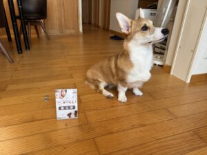犬 フローリング すべらない床の施工事例6