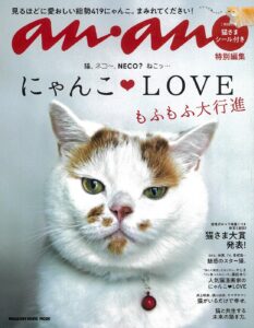 掲載誌例：にゃんこLOVE 表紙（滑り止め特集掲載）